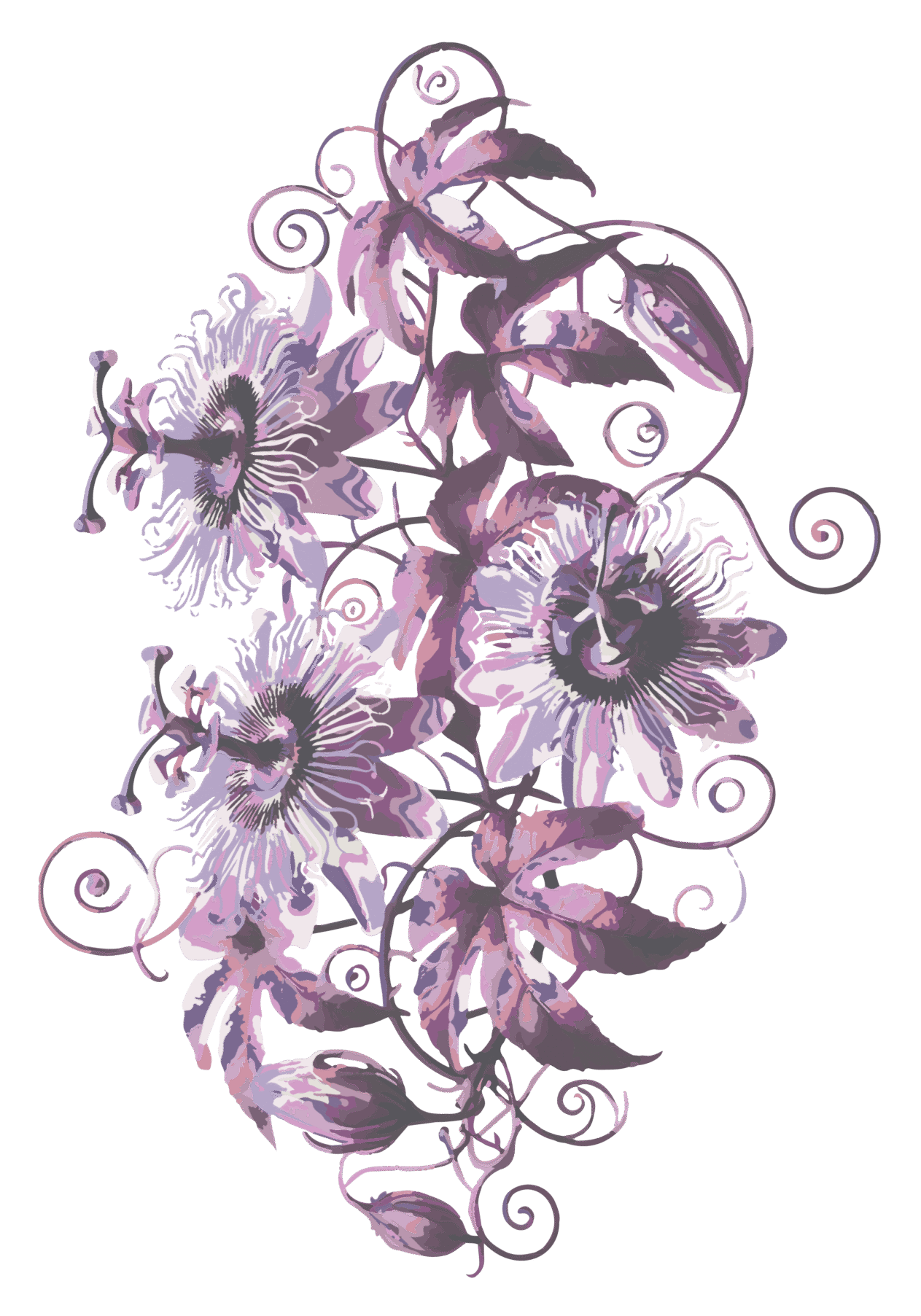 banner flower