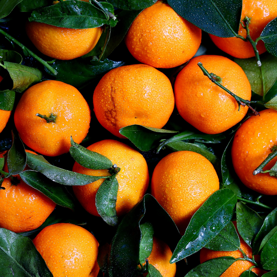 Turning Waste into Innovation with Citrus Neutral Spirit