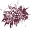 PF Icon